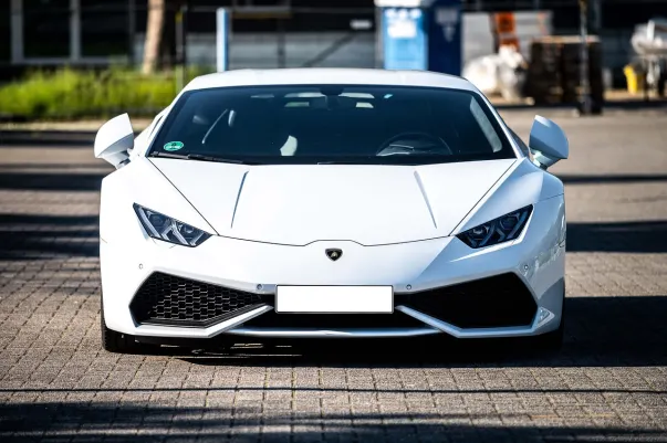 Casino Dotty Bingo Android/iOS Forrit